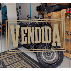 Kawasaki Z300 2019/2019